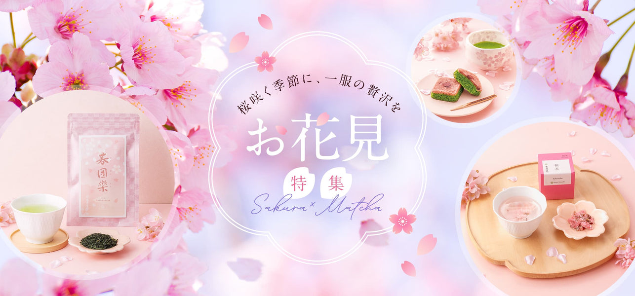 お花見特集2026