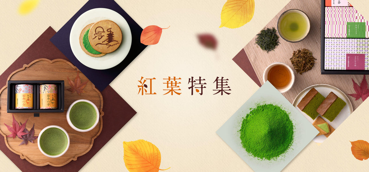 紅葉特集